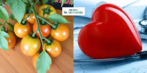 Gaes !!! Makanan Ajaib untuk Jantung Sehat