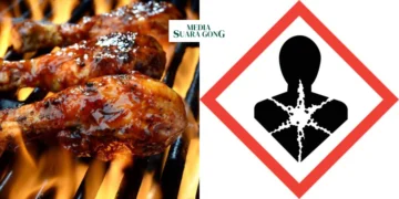 Makanan Bakar dan Kanker Mitos atau Fakta