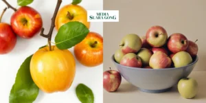 Gaes !!! Manfaat dan Kegunaan Cuka Apel untuk Kesehatan: Dari Penurunan Berat Badan hingga Kesehatan Jantung
