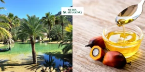 Gaes !!! Minyak Sawit Tak Lagi Raja Harga di Pasar Minyak Dunia: Dampak Bagi Indonesia