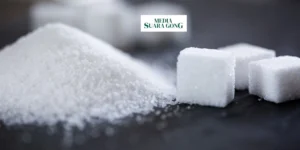 Gaes !!! Pemanis Buatan: Teman Diet atau Musuh Kesehatan?