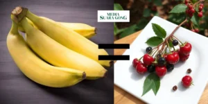 Gaes !!! Pisang: Si Kuning yang Menyamar Jadi Beri