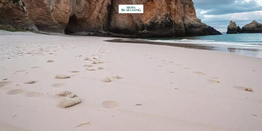 Gaes !!! Pemerintah Buka Kembali Keran Ekspor Pasir Laut