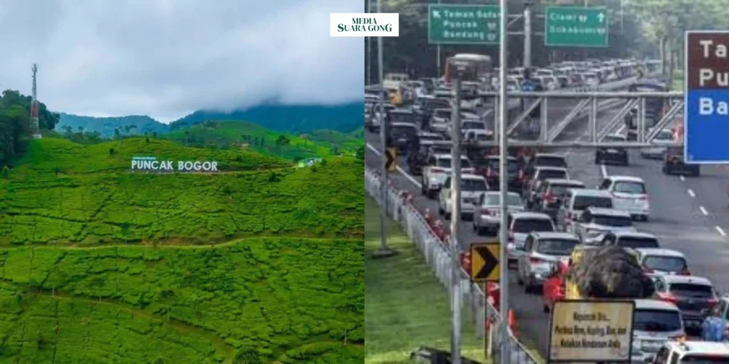 Gaes !!! Wisatawan Meninggal Dunia Akibat Macet di Jalur Puncak, DPRD Bogor Desak Evaluasi Lalu Lintas