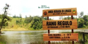 Gaes !!! Wisata Ranu Regulo Lumajang Telah Di Buka Kembali