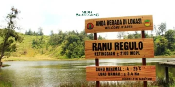 Wisata Ranu Regulo Lumajang Telah Di Buka Kembali