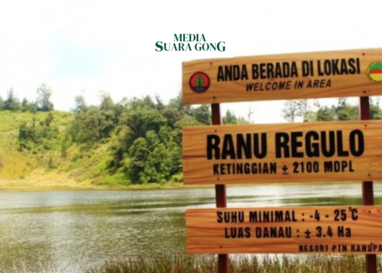 Wisata Ranu Regulo Lumajang Telah Di Buka Kembali