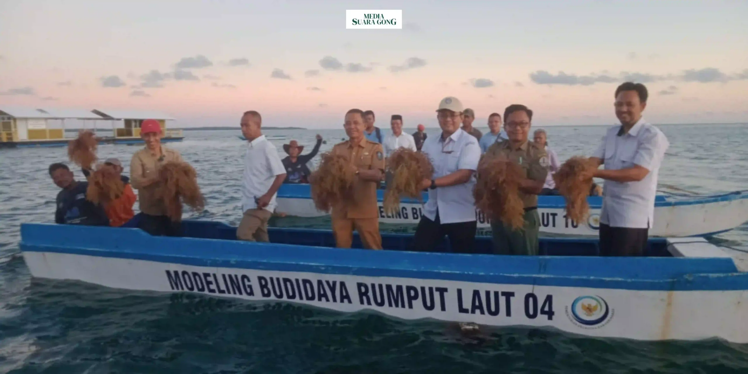 Program modeling budidaya rumput laut berbasis kawasan di Wakatobi, Sulawesi Tenggara, telah sukses menuai hasil panen raya yang melimpah