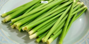 Gaes !!! Seputar Manfaat Batang Serai Bagi Kesehatan Tubuh