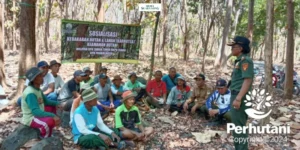 Gaes !!! Perhutani Probolinggo Gelar Sosialisasi Pencegahan Karhutla