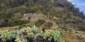 Gaes !!! Pendakian Gunung Arjuno-Welirang Ditutup Per 1 November 2024