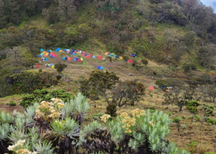 Mulai 1 November 2024, seluruh jalur pendakian menuju Gunung Arjuno-Welirang akan ditutup hingga batas waktu yang belum ditentukan.