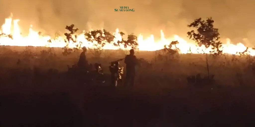 Ratusan hektare lahan di Taman Nasional Way Kambas (TNWK), Lampung Timur, kembali terbakar pada Selasa (15/10/2024) malam