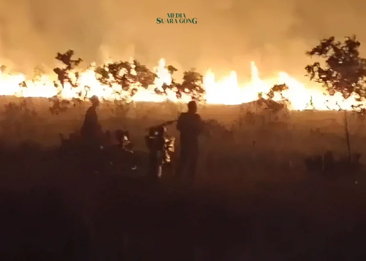 Ratusan hektare lahan di Taman Nasional Way Kambas (TNWK), Lampung Timur, kembali terbakar pada Selasa (15/10/2024) malam