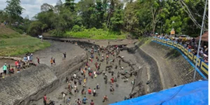 Gaes !!! Pemkab Banyuwangi Kuras DAM Besar Demi Persiapan Musim Tanam 2024-2025