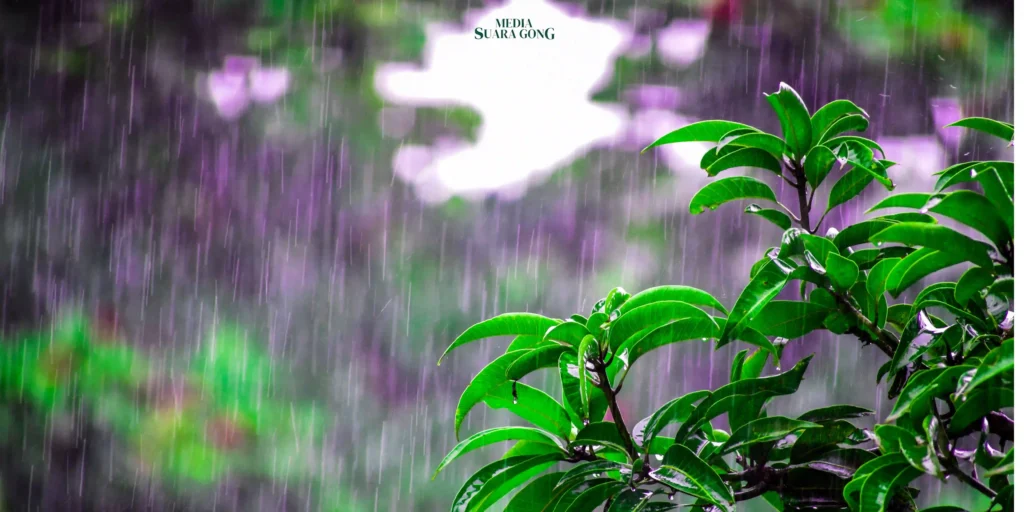 Gaes !!! Ciri-Ciri Peralihan Musim Penghujan di Indonesia