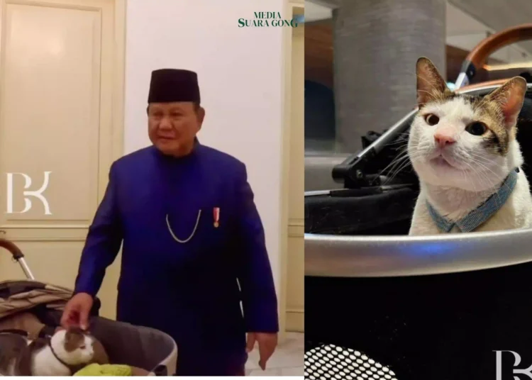 Momen Pelantikan dimeriahkan oleh kehadiran sosok yang tak terduga, Yaitu Bobby, kucing kesayangan Prabowo