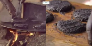 Gaes !!! Mengenal Burger Nyamuk Khas Afrika: Inovasi Unik dari Alam