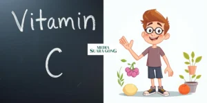 Gaes !!! Vitamin C: Si Kecil yang Berperan Besar bagi Kesehatan