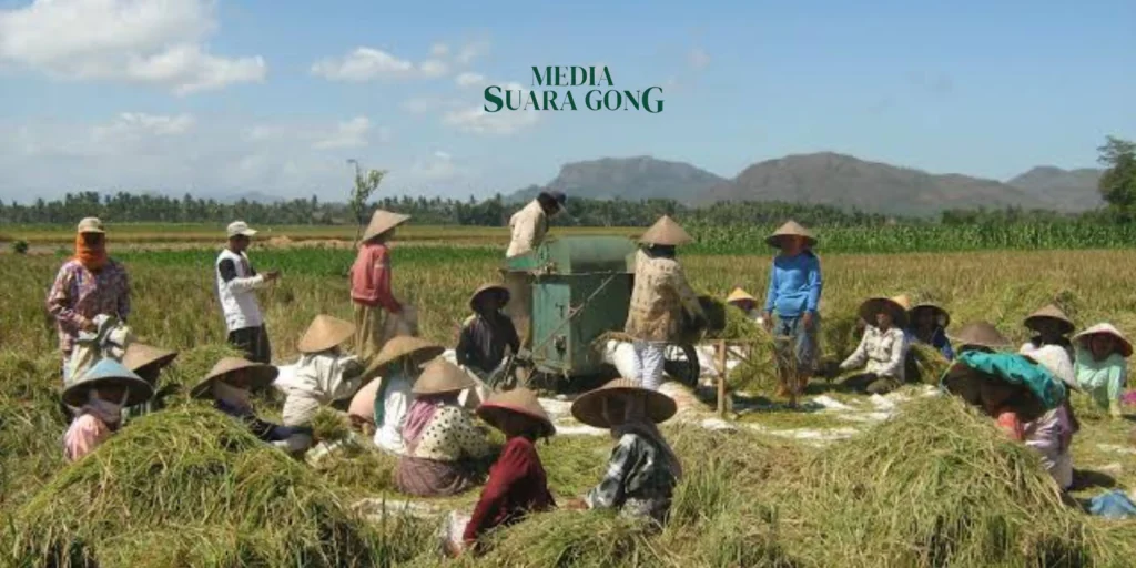 Gaes !!! Mewujudkan Ketahanan Pangan 2025 untuk Kesejahteraan Masyarakat Indonesia