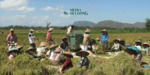 Gaes !!! Mewujudkan Ketahanan Pangan 2025 untuk Kesejahteraan Masyarakat Indonesia