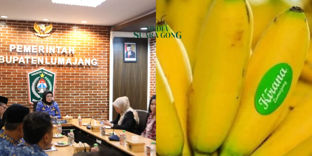 Gaes !!! Pisang Mas Kirana Lumajang Dapat Dukungan Pusat untuk Tembus Pasar Global