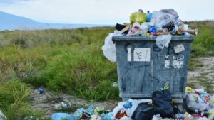 Gaes !!! Tips Memulai Gaya Hidup Zero Waste