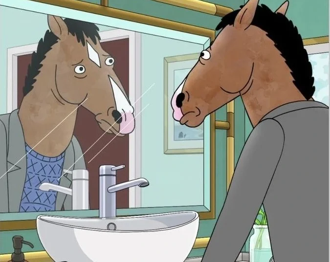 Bojack Horseman merupakan sebuah serial animasi dewasa dengan genre drama dan Dark Comedy, yang dibuat oleh Raphael Bob-Waksberg.