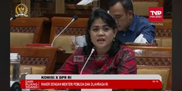 Pada rapat paripurna mengenai proses naturalisasi, anggota Komisi X DPR RI, Anita Jacoba Gah, mengemukakan kritiknya secara terbuka.