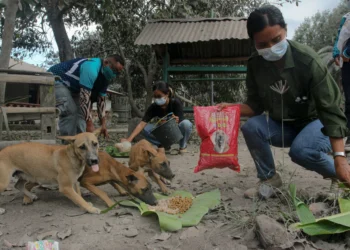 Baleg DPR menolak usulan RUU tentang Pelarangan Kekerasan terhadap Hewan Domestik dan Larangan Perdagangan Daging Anjing dan Kucing.