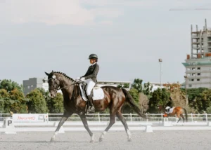 Gaes !!! E.C.E 2024: Momen Bersejarah dalam Dunia Equestrian Indonesia