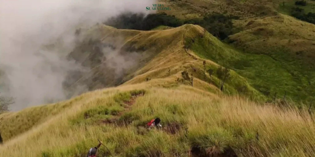 Lembah Kidang Arjuno