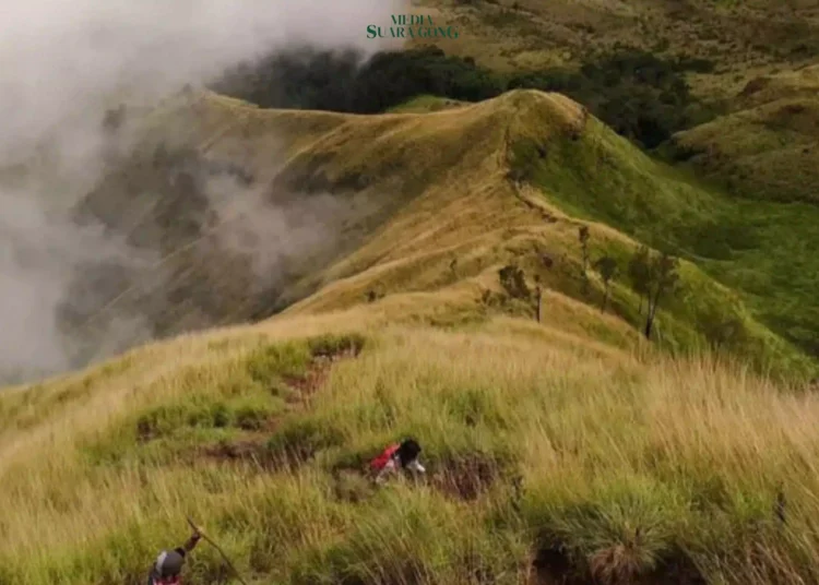 Lembah Kidang Arjuno