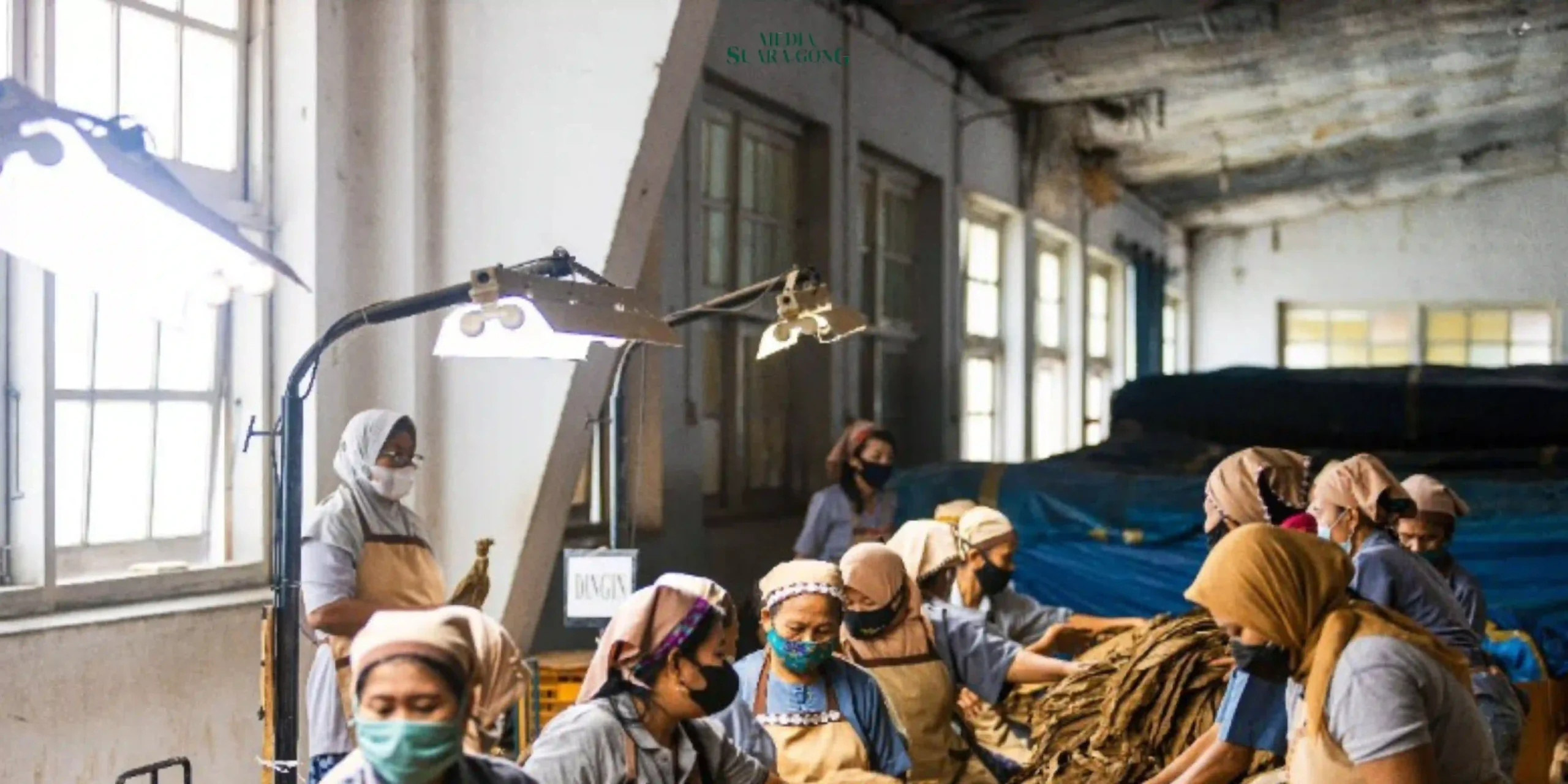 PTPN I Regional 4 Targetkan Produksi Tembakau 12.750 Ton