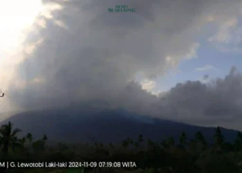 Seiring dengan tingginya aktivitas vulkanik di Gunung Lewotobi Laki-Laki, PVMBG mempertimbangkan untuk memperluas radius zona aman