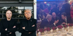 Gaes !!! Mengapa Elon Musk Mendukung Donald Trump Mati-Matian?