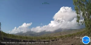 Gaes !!! Gunung Lewotobi Laki-Laki di Flores Timur NTT Kembali Erupsi