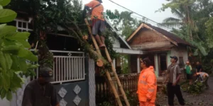 Gaes !!! Hujan Disertai Angin Kencang di Jember, BPBD Tangani Kerusakan Fasilitas Publik