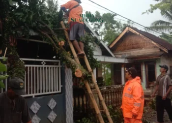 Hujan Disertai Angin Kencang di Jember, BPBD Tangani Kerusakan Fasilitas Publik