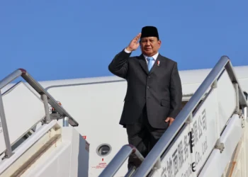 Presiden Prabowo Subianto mengusulkan agar India mengirimkan profesor dan dokter spesialis untuk mengajar di perguruan tinggi di Indonesia.