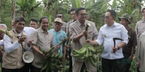Gaes !!! Kementerian Kehutanan Dukung Program Makan Bergizi Gratis Pemerintahan Prabowo-Gibran dengan Produk Perhutanan Sosial