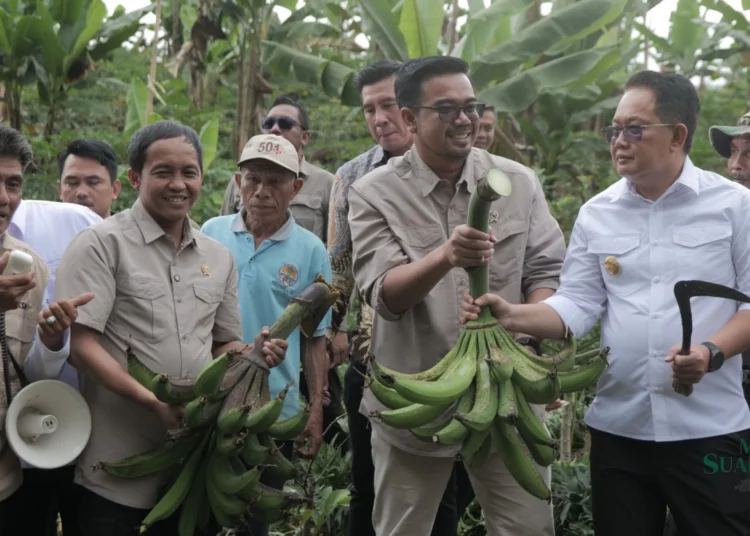 Kementerian Kehutanan Dukung Program Makan Bergizi Gratis Pemerintahan Prabowo-Gibran dengan Produk Perhutanan Sosial