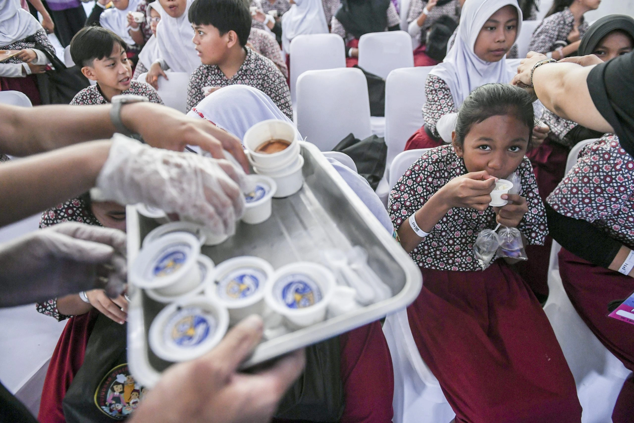 Kementerian Kelautan dan Perikanan (KKP) memastikan susu ikan akan menjadi bagian dari menu dalam Program Makan Bergizi Gratis (MBG).