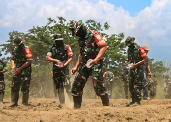 MK menetapkan bahwa KPK memiliki kewenangan untuk mengusut kasus korupsi yang melibatkan anggota militer atau TNI.