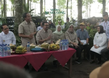 Menteri Kehutanan Kunjungi Lumajang Tinjau Pengelolaan Perhutanan Sosial Terpadu di Desa Burno