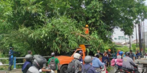 Gaes !!! Penanganan Penghalangan Lalu Lintas di Jember Kidul untuk Kurangi Risiko Bencana