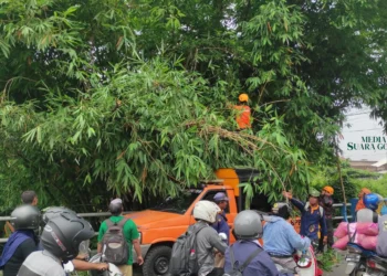 Penanganan Penghalangan Lalu Lintas di Jember Kidul untuk Kurangi Risiko Bencana