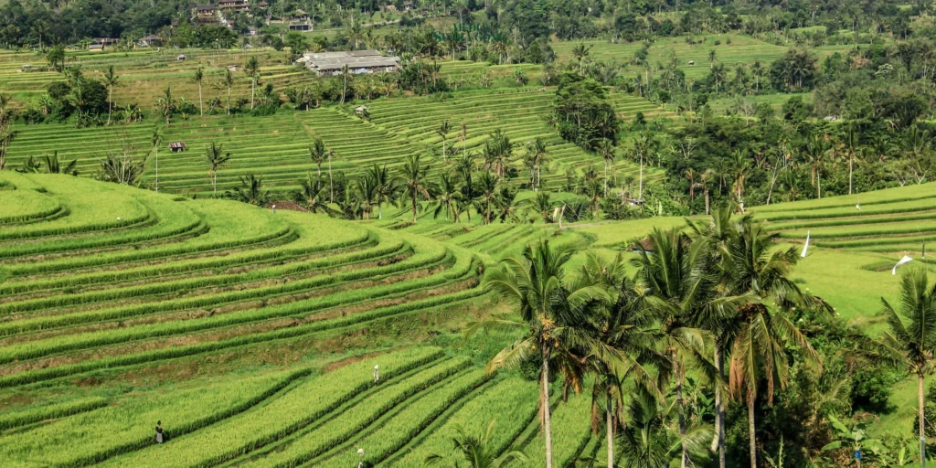 Gaes !!! Prioritas Pembangunan Agraria dan Tata Ruang Pemerintah