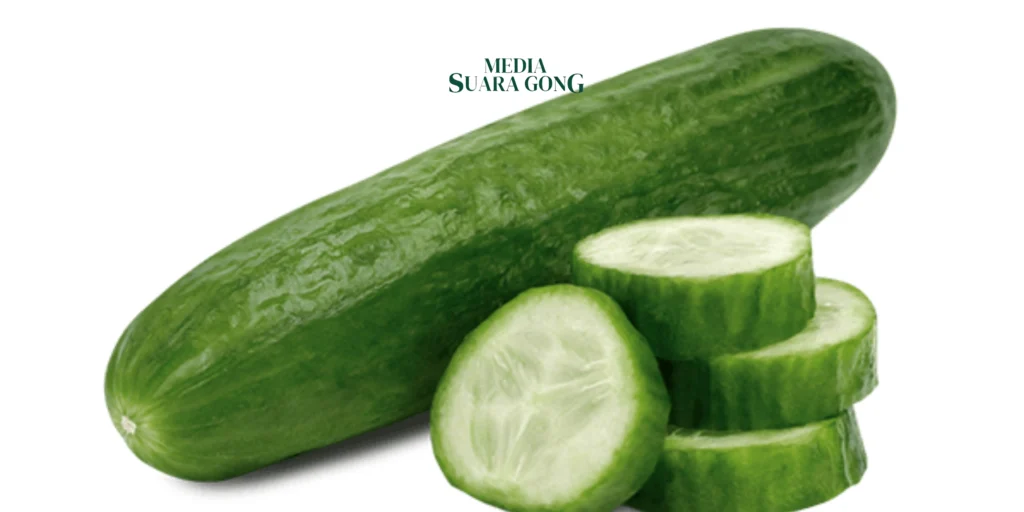 Gaes !!! Timun: Si Segar yang Jaga Tekanan Darah