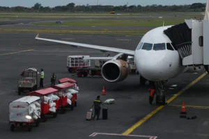 Gaes !!! Peneliti BRIN Ciptakan Terobosan: Minyak Kelapa Diolah Jadi Bio-Jet Fuel